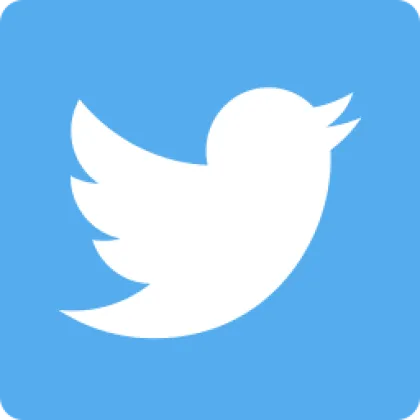 Twitter | 已启用 2FA | 注册年份：2010–2020 | 已通过 @hotmail.com/outlook.com 邮箱验证，邮箱包含在内 | 个人资料已部分填写 | 注册国家/地区：法国